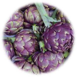 ARTICHAUT VIOLET AMETHYSTE