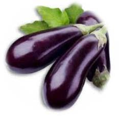 AUBERGINE GREFFÉE LONGUE VIOLETTE