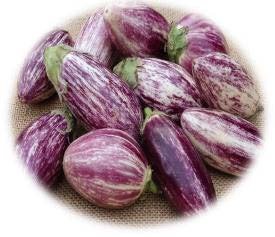 AUBERGINE GREFFÉE STRIÉE