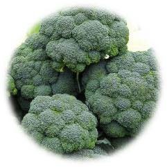 CHOU BROCOLI