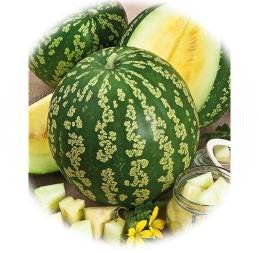 CITRE PASTEQUE À CONFITURE