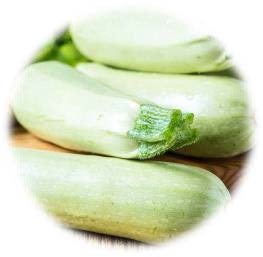 COURGETTE BLANCHE