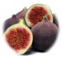 Figuier Noire De Sollies