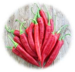 PIMENT SUCETTE DE PROVENCE