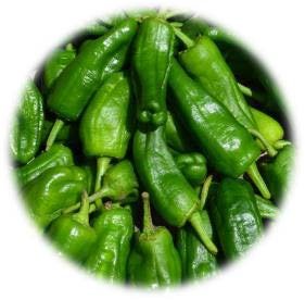 POIVRON GREFFÉ PIMIENTOS DE PADRÒN