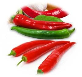 POIVRON LONG DOUX DES LANDES