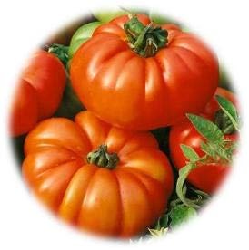 TOMATE MARMANDE
