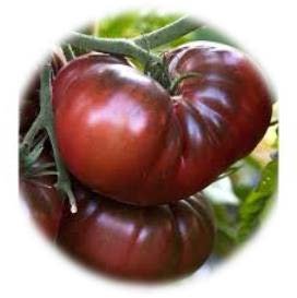 TOMATE NOIRE DE CRIMÉE